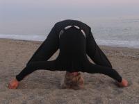 Prasarita padottanasana